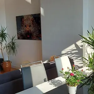 Appartement spacieux F3,netlix,wi fi,parking gratuit,proche de STEEL, Saint-Etienne (Loire)